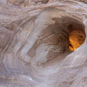 Desert Wilderness - Explore the intricacies of a captivating natural #10845574