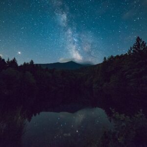 Forest Nature - A picturesque night sky with Milky Way over a se #1252869