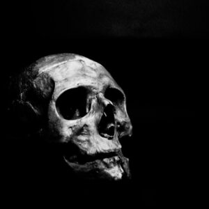 Beach Scenery - Moody black and white photo of a skull on a dark #1270184