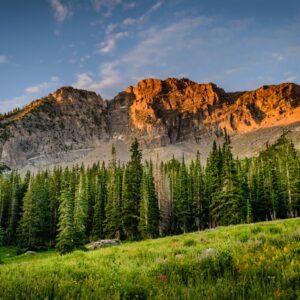 Lake Reflections - Scenic sunrise view of forested mountain landsca #1324803