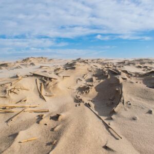 Desert Wilderness - A picturesque desert-like landscape with sand du #14215296