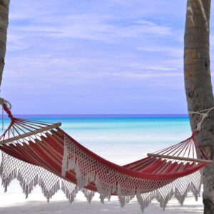 Beach Scenery - Idyllic beach hammock between coconut trees with #1450372