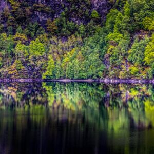 Lake Reflections - Stunning reflective view of lush forest on a tra #1453627