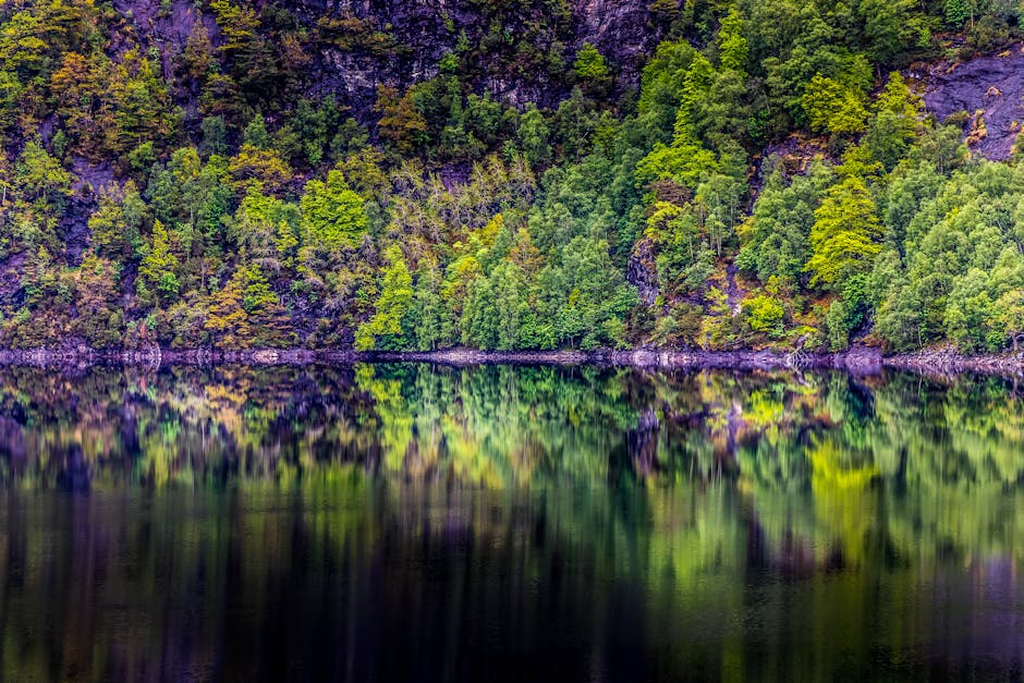 Lake Reflections - Stunning reflective view of lush forest on a tra #1453627