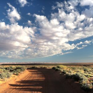Desert Wilderness - Beautiful desert scene with a dirt road and dram #150958