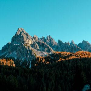 Mountain Landscapes - Majestic peaks and autumn forest bathed in morni #1526718