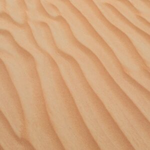 Desert Wilderness - A serene view of golden sand dunes with smooth t #1527934