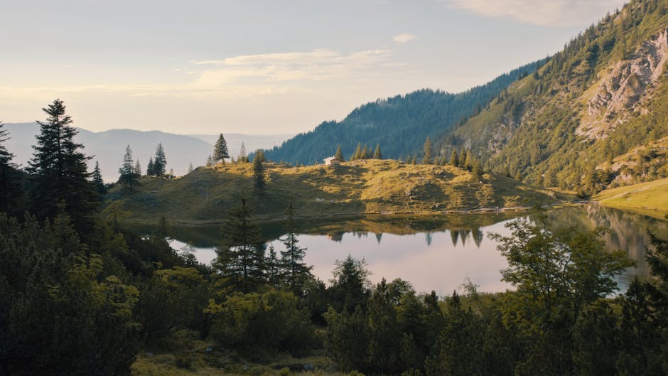 Mountain Landscapes - Tranquil mountain lake surrounded by lush forest #18062747