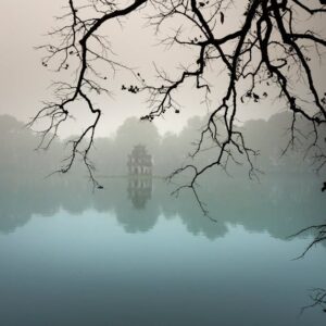 Lake Reflections - Serene morning view of a misty lake with tree br #2884659