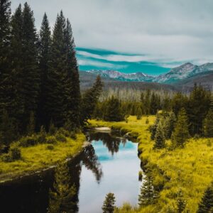 Mountain Landscapes - Peaceful mountain stream surrounded by lush pine #2994160