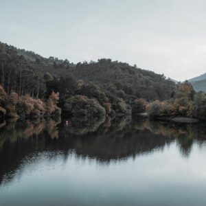 Lake Reflections - Peaceful reflection of trees and mountains on a #3021724