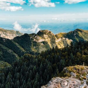 Forest Nature - Breathtaking panoramic view of lush green mounta #3134681