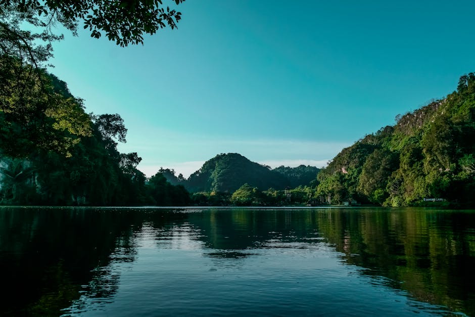Lake Reflections - Tranquil lake surrounded by lush green mountains #33268