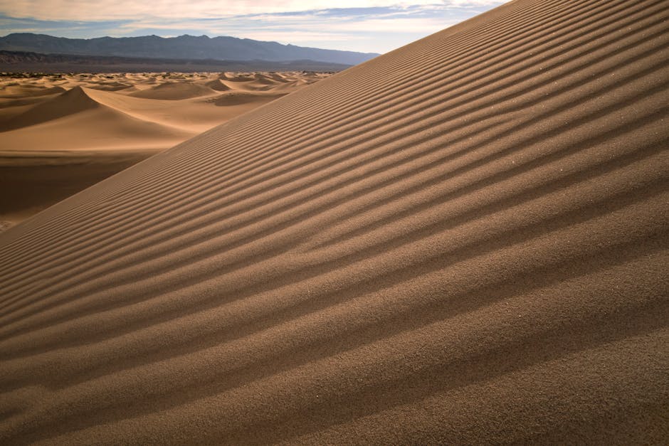 Desert Wilderness - Expansive view of rippled sand dunes under a cle #35962885