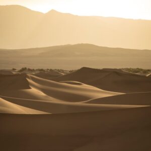 Desert Wilderness - Captivating view of sand dunes bathed in golden #35970236