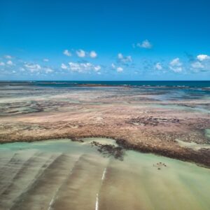 Beach Scenery - Stunning aerial view of a tropical ocean landsca #36460363