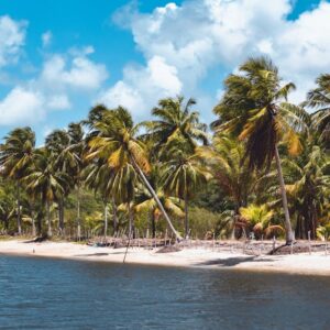 Beach Scenery - A beautiful tropical beach lined with lush palm  #36460484