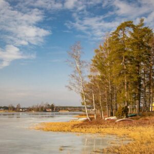 Lake Reflections - Beautiful spring landscape featuring trees and a #36490477