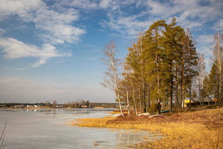 Lake Reflections - Beautiful spring landscape featuring trees and a #36490477