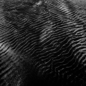 Desert Wilderness - Abstract black and white photo of sand texture w #3709434
