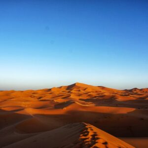 Desert Wilderness - Capture the stunning beauty of expansive orange  #3909922