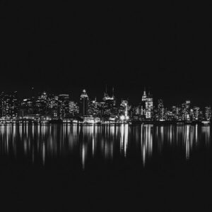 Forest Nature - Captivating black and white view of New York Cit #3980364