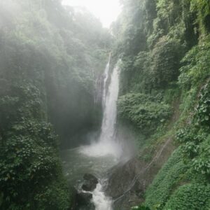 Lake Reflections - Wonderful Aling Aling Waterfall among lush green #4534200