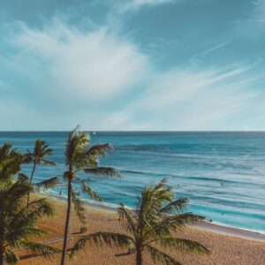 Beach Scenery - A serene tropical beach with palm trees and clea #5232485