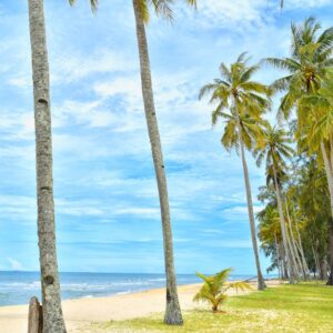 Beach Scenery - A serene tropical beach with palm trees against  #533954