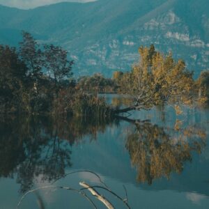 Lake Reflections - Serene view of a lake reflecting trees and mount #5676031