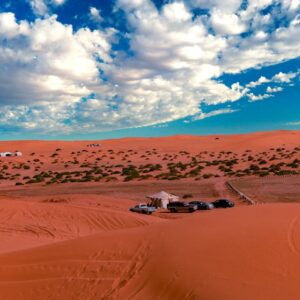 Desert Wilderness - A stunning view of the desert in Shaqra, with ca #6187368