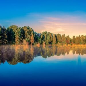 Lake Reflections - A tranquil lakeside scene with vivid reflections #7385485