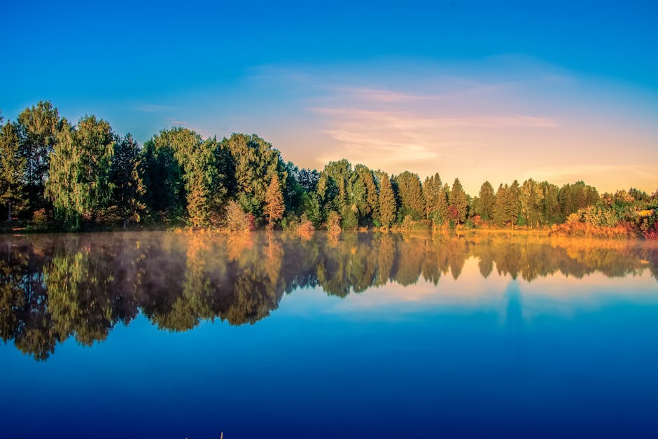 Lake Reflections - A tranquil lakeside scene with vivid reflections #7385485