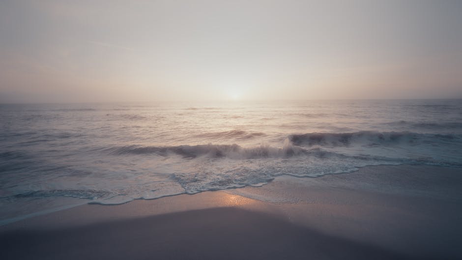 Beach Scenery - Peaceful ocean waves and soft sunrise light at M #7575604