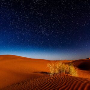 Desert Wilderness - Majestic night sky over sand dunes in Morocco's #8357639