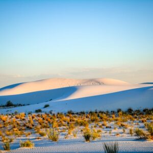 Desert Wilderness - Beautiful landscape of sand dunes at White Sands #8536869